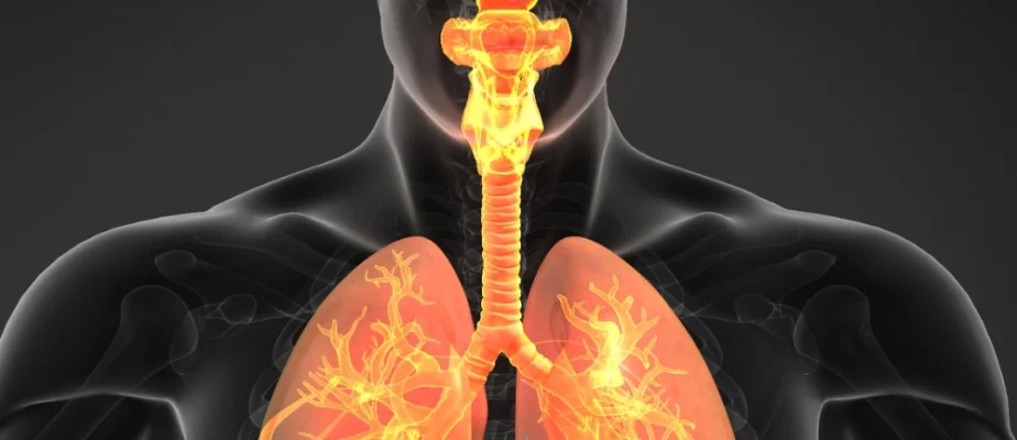 Feature Respiratory Medicine