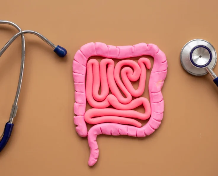 Feature Gastrointestinal Care