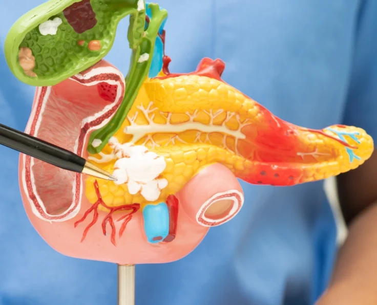 Feature Gastrointestinal Surgery